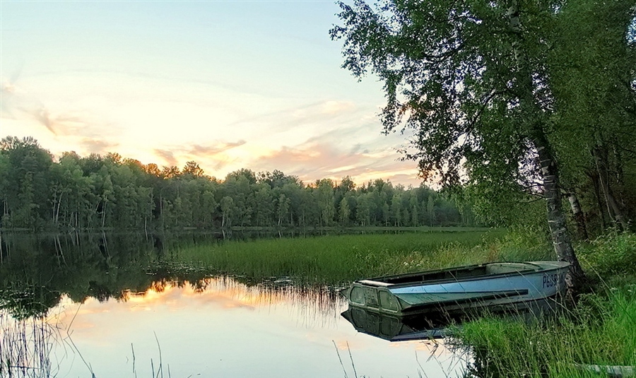 Фото жизнь