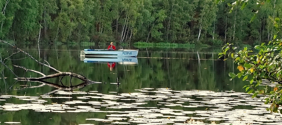 Фото жизнь