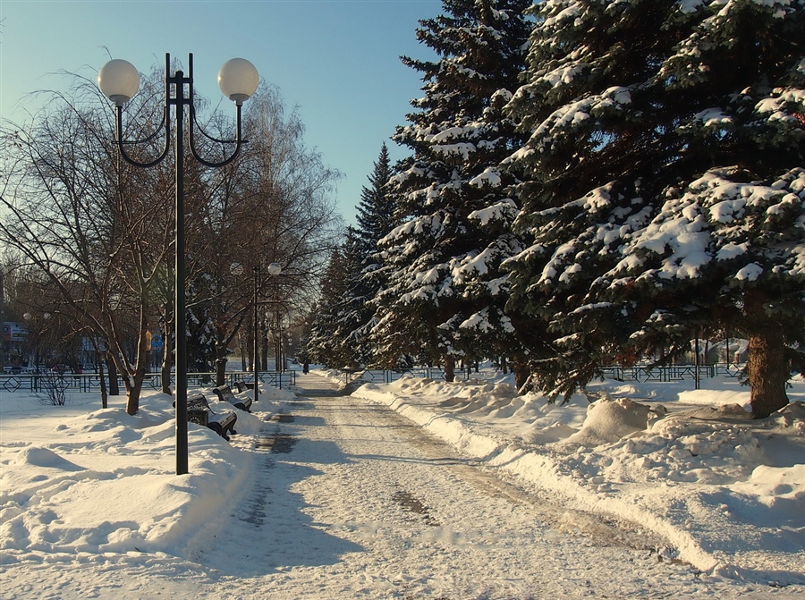 Фото жизнь