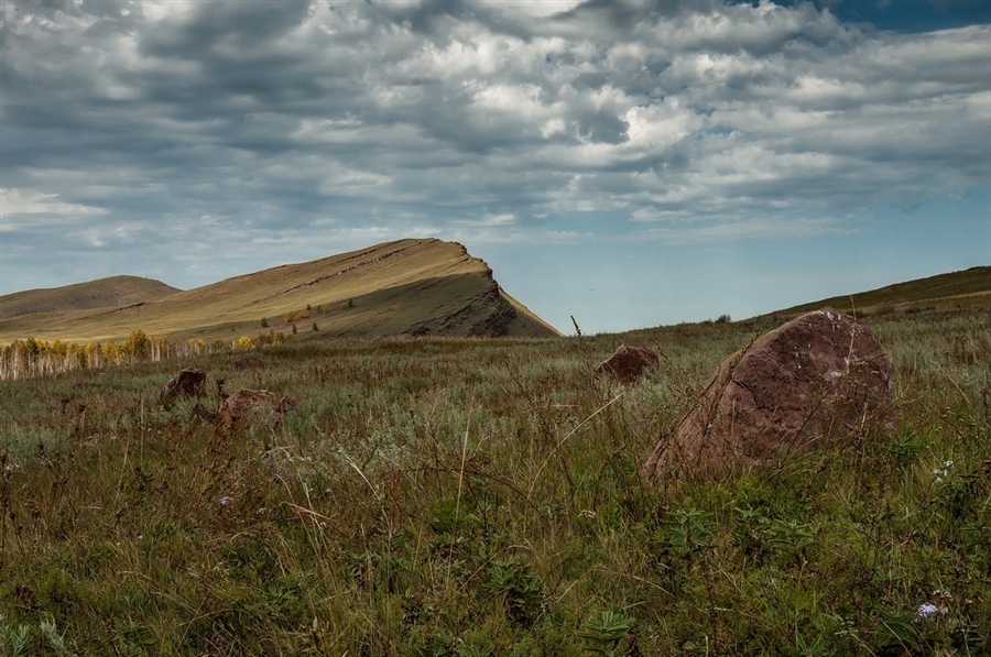 Фото жизнь