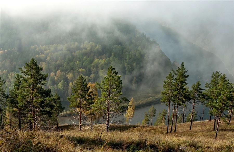 Фото жизнь