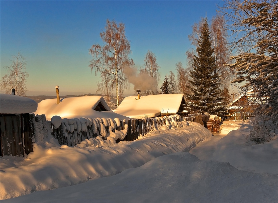Фото жизнь