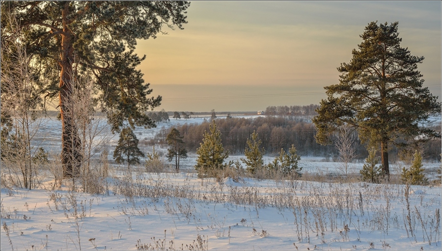 Фото жизнь