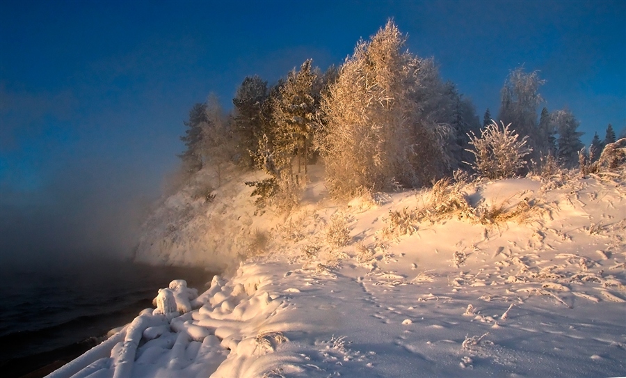 Фото жизнь