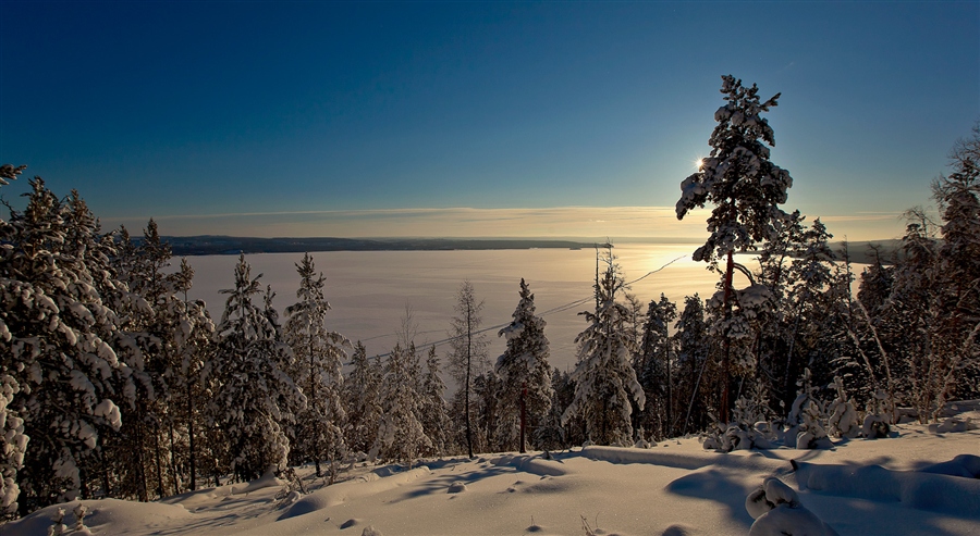 Фото жизнь