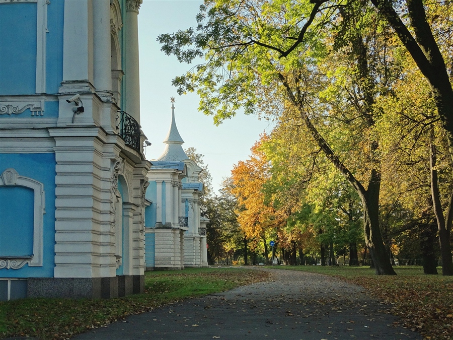 Фото жизнь