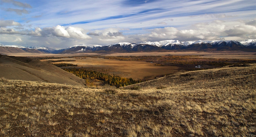 Фото жизнь