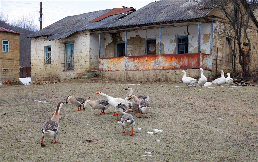 Фото жизнь