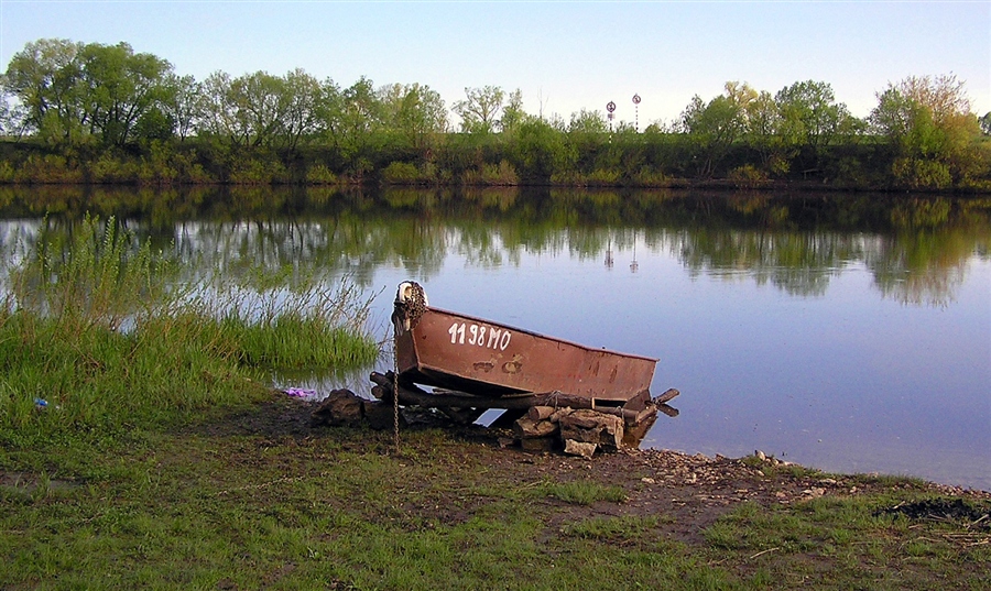 Фото жизнь