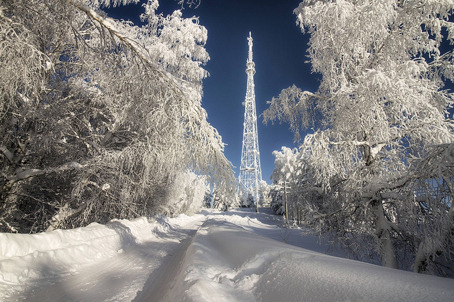 Фото жизнь