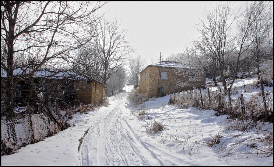 Фото жизнь