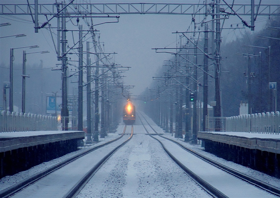 Фото жизнь