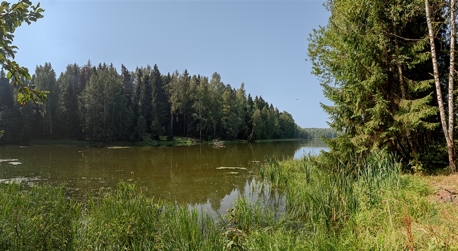 Фото жизнь