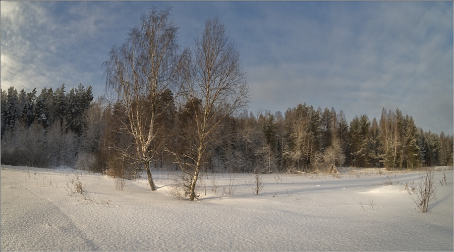 Фото жизнь