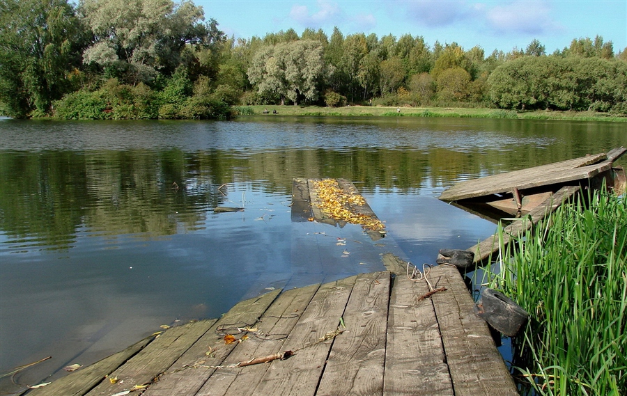 Фото жизнь