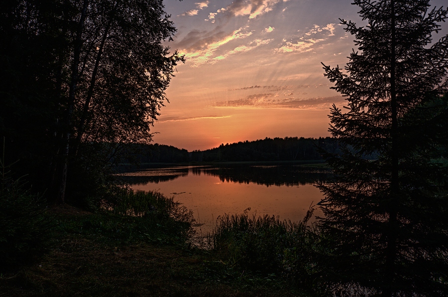 Фото жизнь