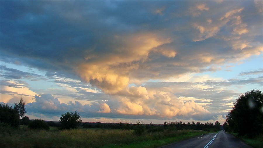 Фото жизнь
