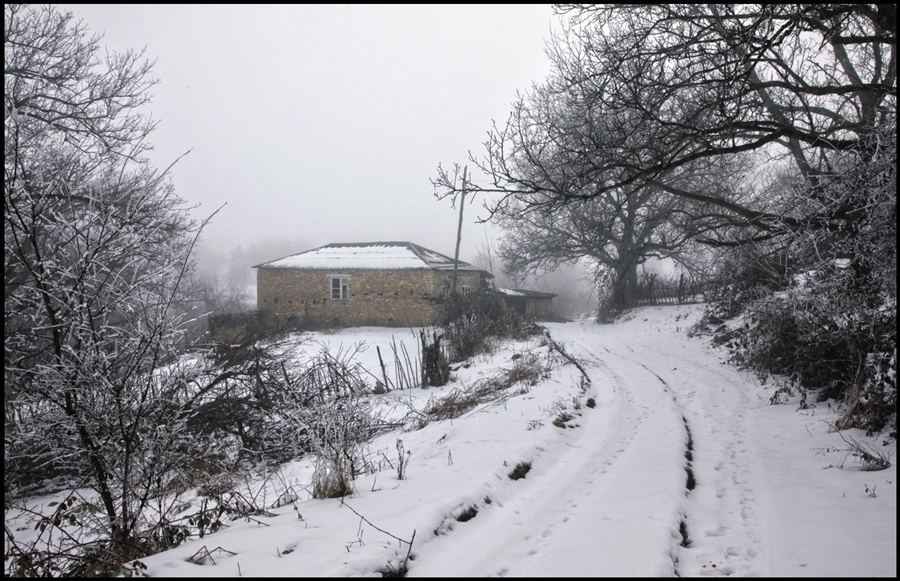 Фото жизнь