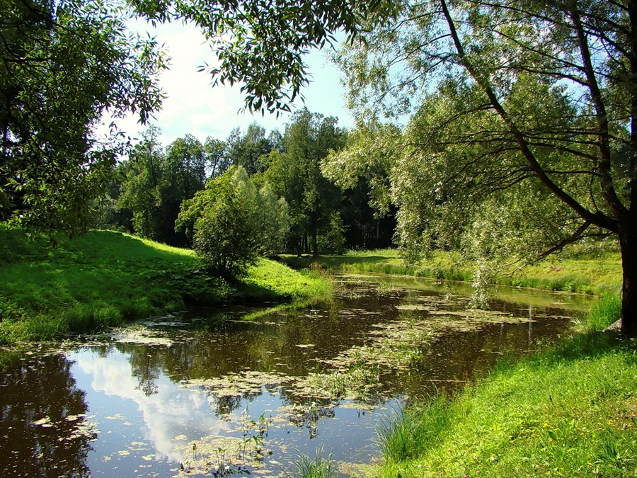 Фото жизнь