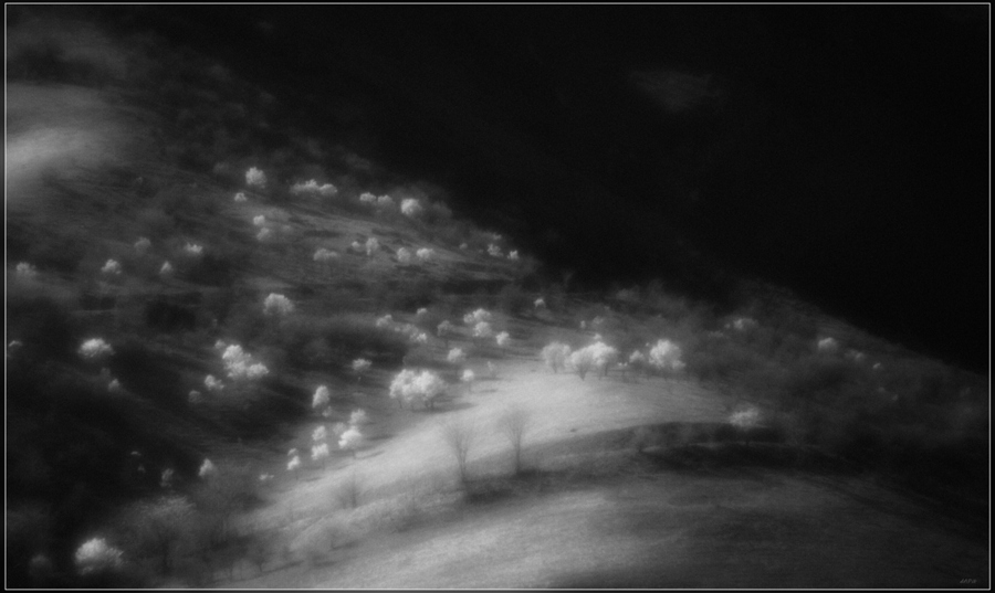 Фото жизнь (light) - Ильдар - Бездарные пейзажики - Когда цветет горный миндаль 
