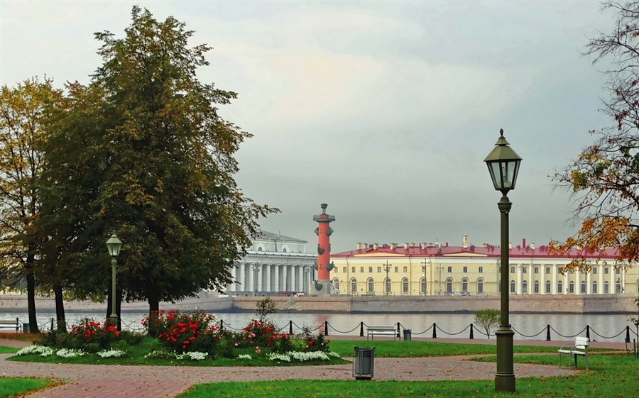 Фото жизнь