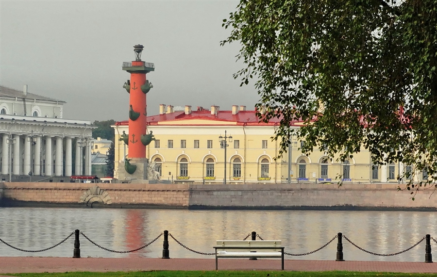Фото жизнь
