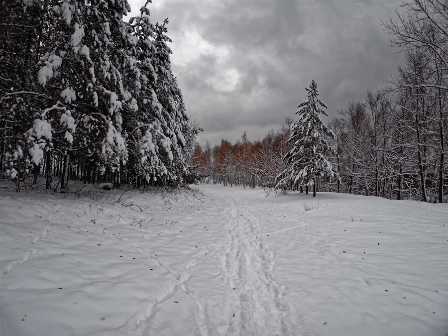 Фото жизнь