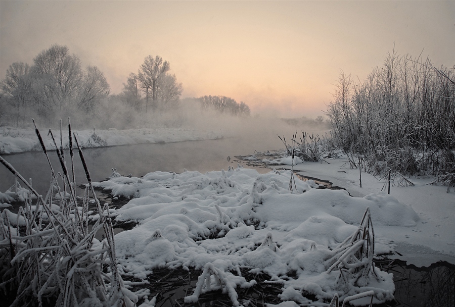 Фото жизнь