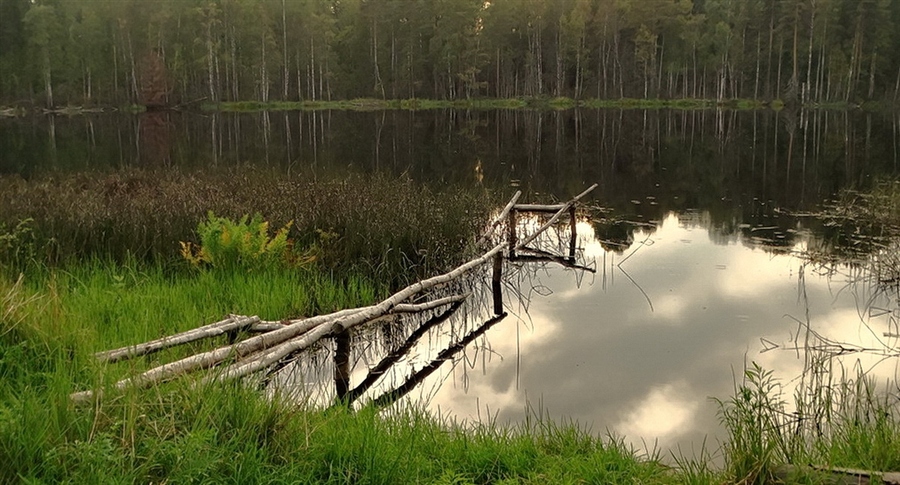 Фото жизнь