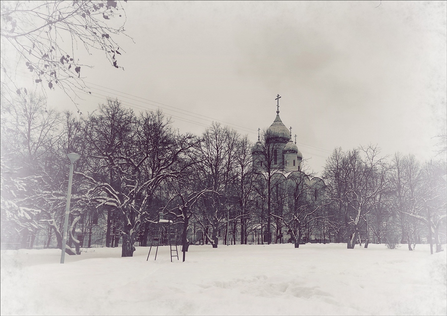 Фото жизнь