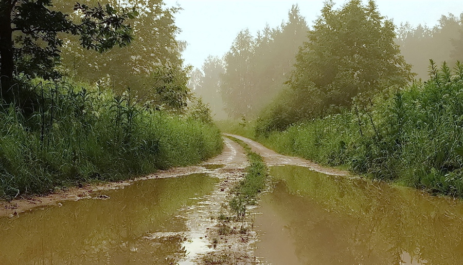 Фото жизнь
