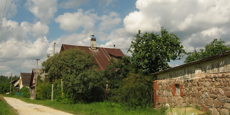 Фото жизнь