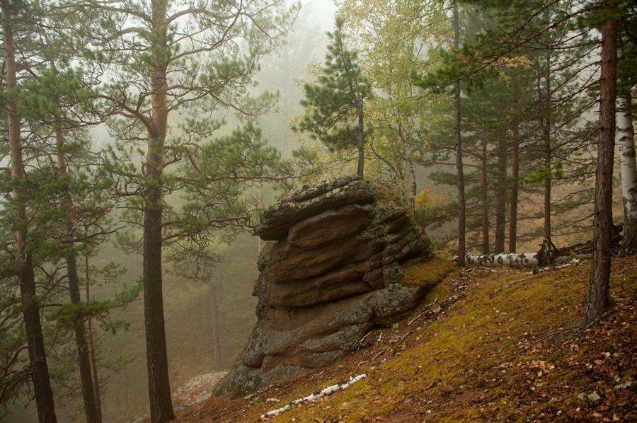 Фото жизнь