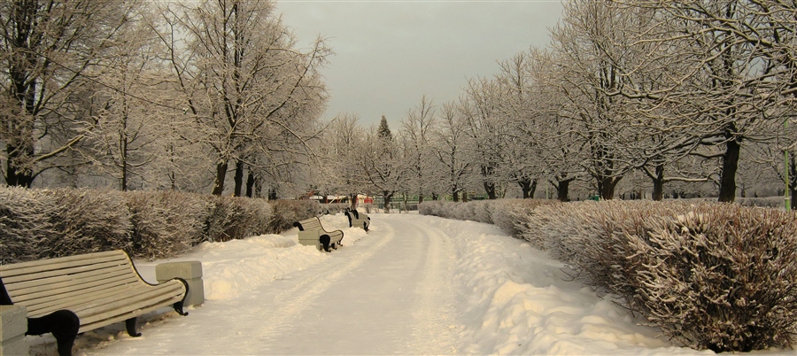 Фото жизнь