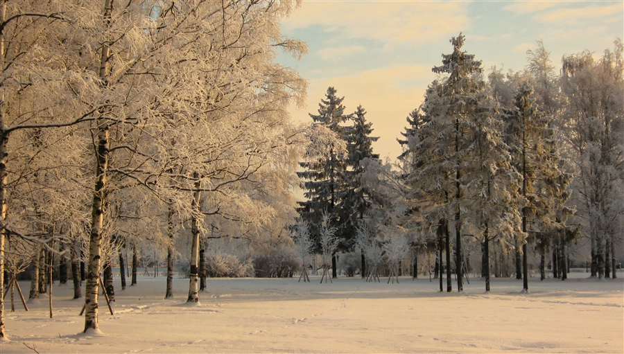 Фото жизнь