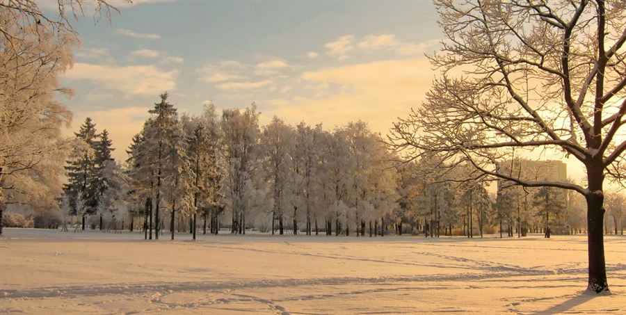 Фото жизнь