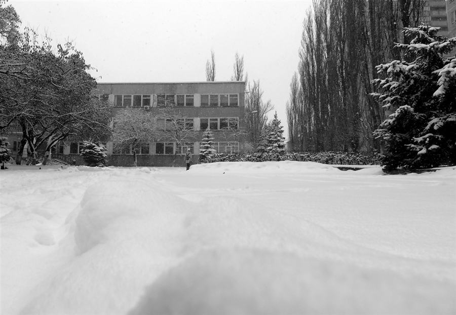 Фото жизнь