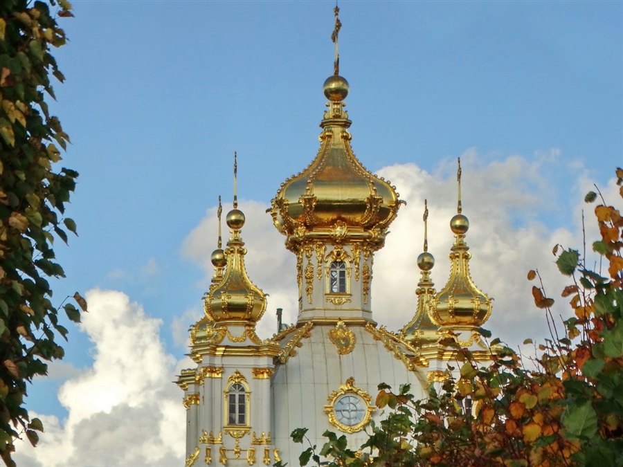 Фото жизнь