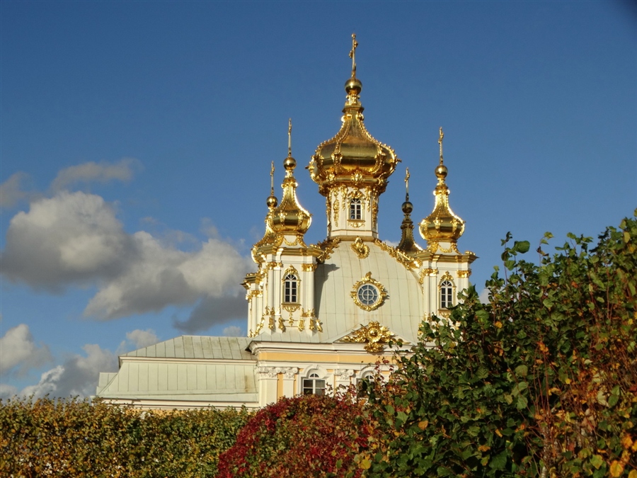 Фото жизнь