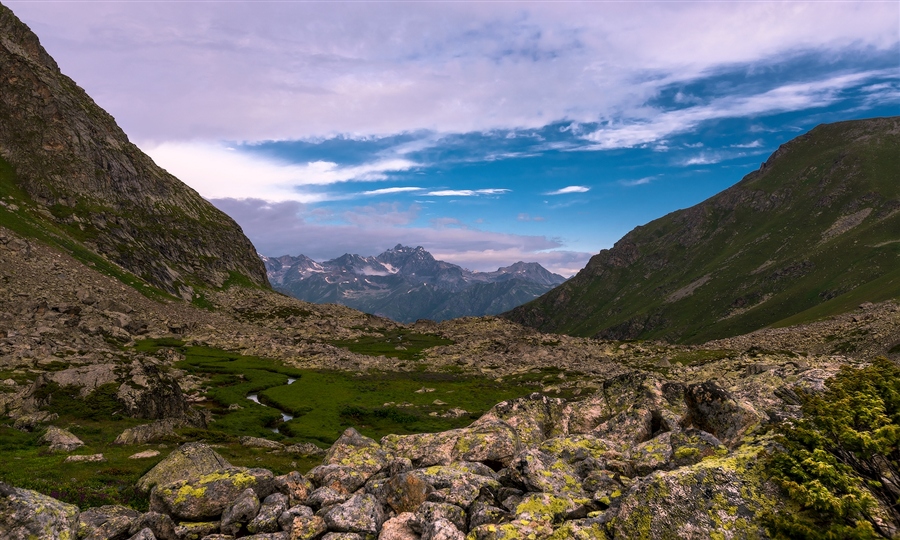 Фото жизнь