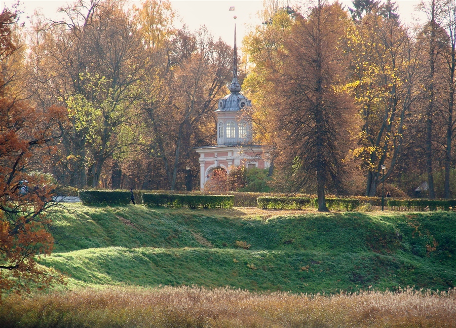 Фото жизнь
