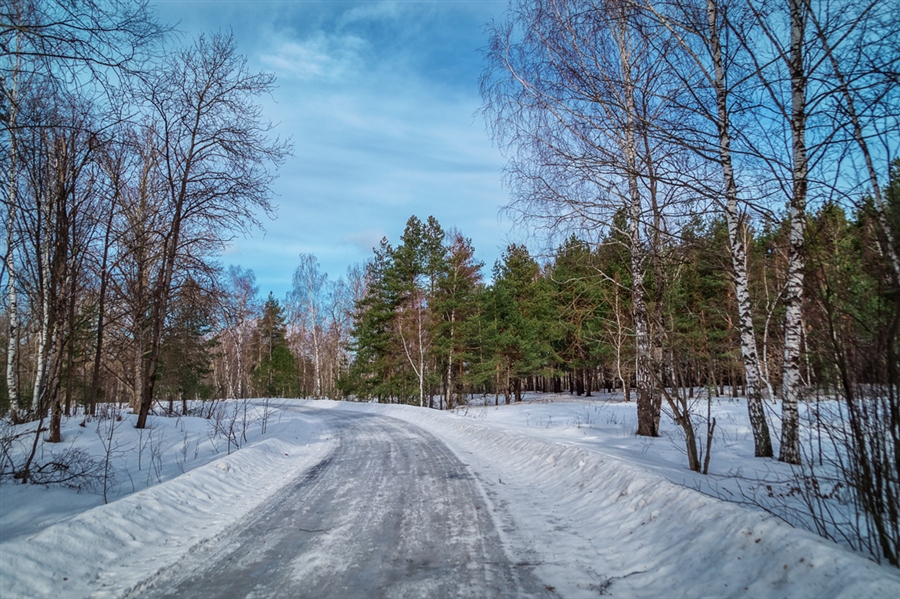Фото жизнь