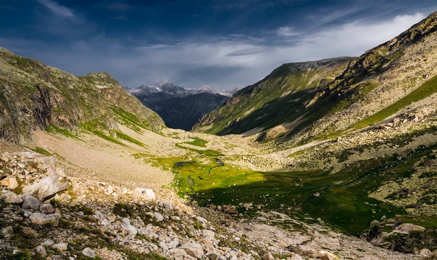Фото жизнь