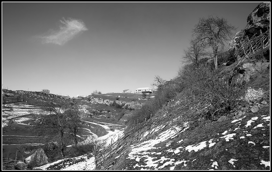 Фото жизнь