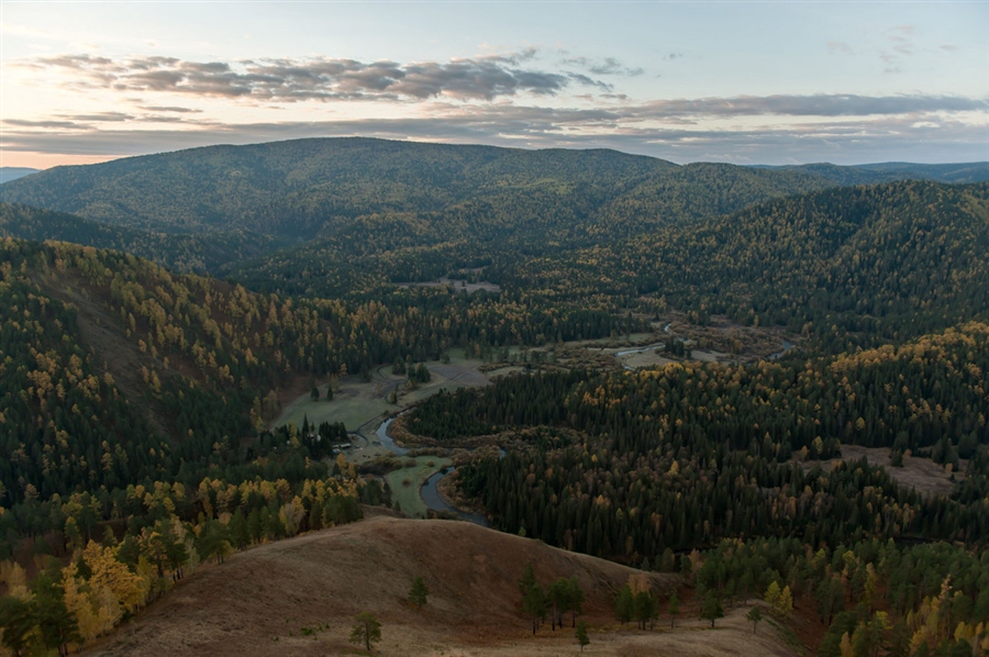 Фото жизнь