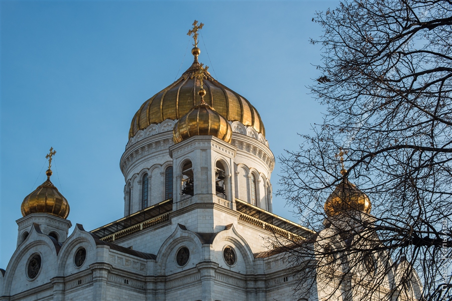 Фото жизнь