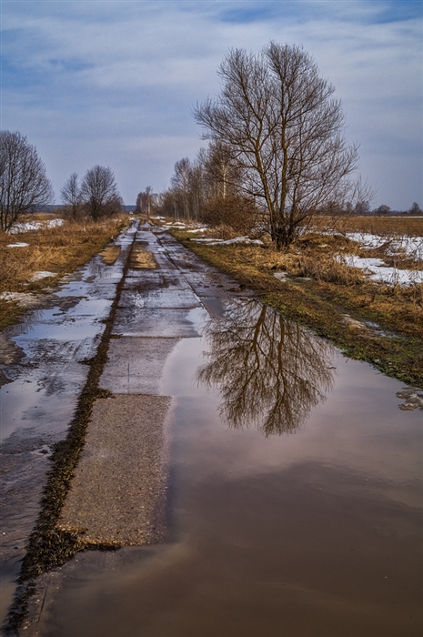 Фото жизнь