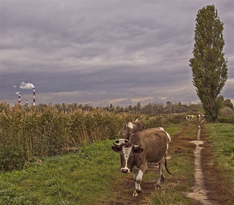 Фото жизнь