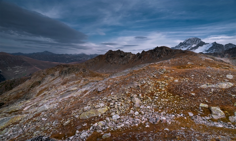 Фото жизнь