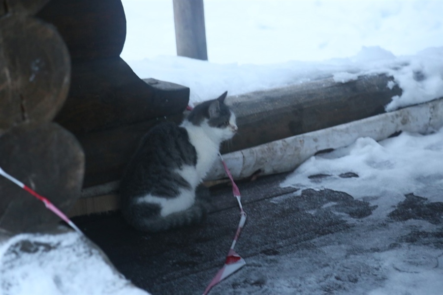 Фото жизнь